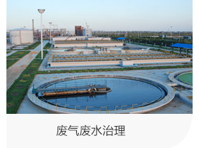 山東利豐環(huán)?？萍加邢薰井a(chǎn)品